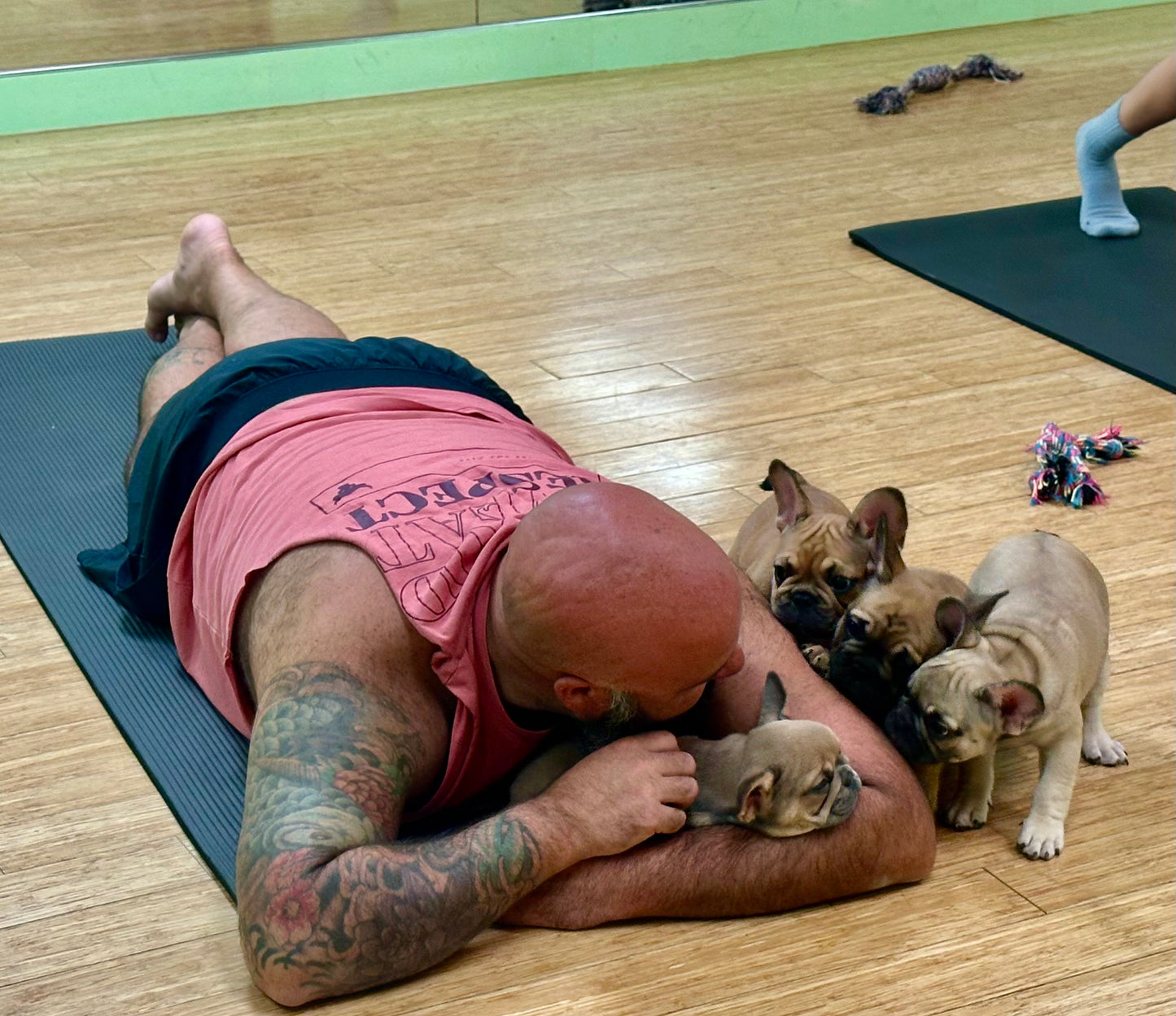 Frenchie Puppy Yoga