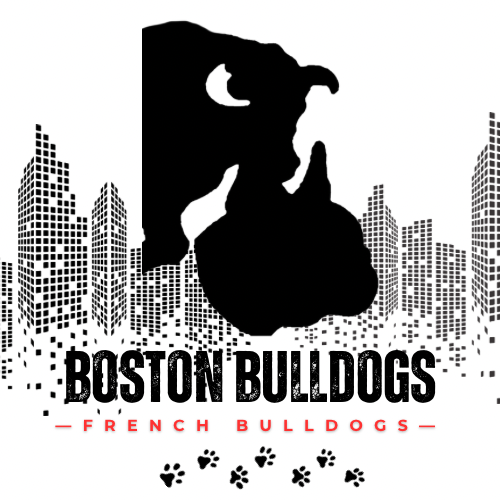 Bostonbulldogs