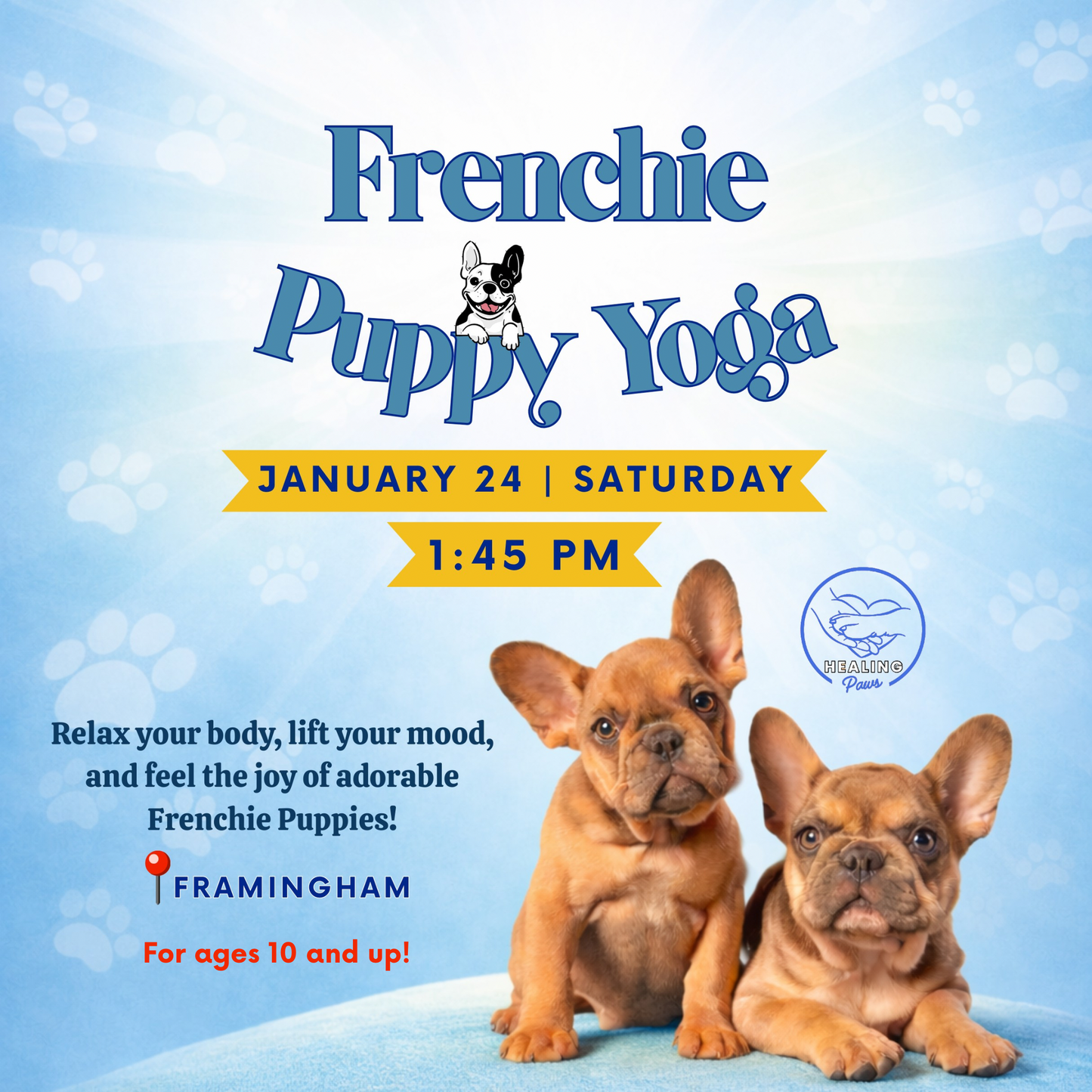 Frenchie Puppy Yoga