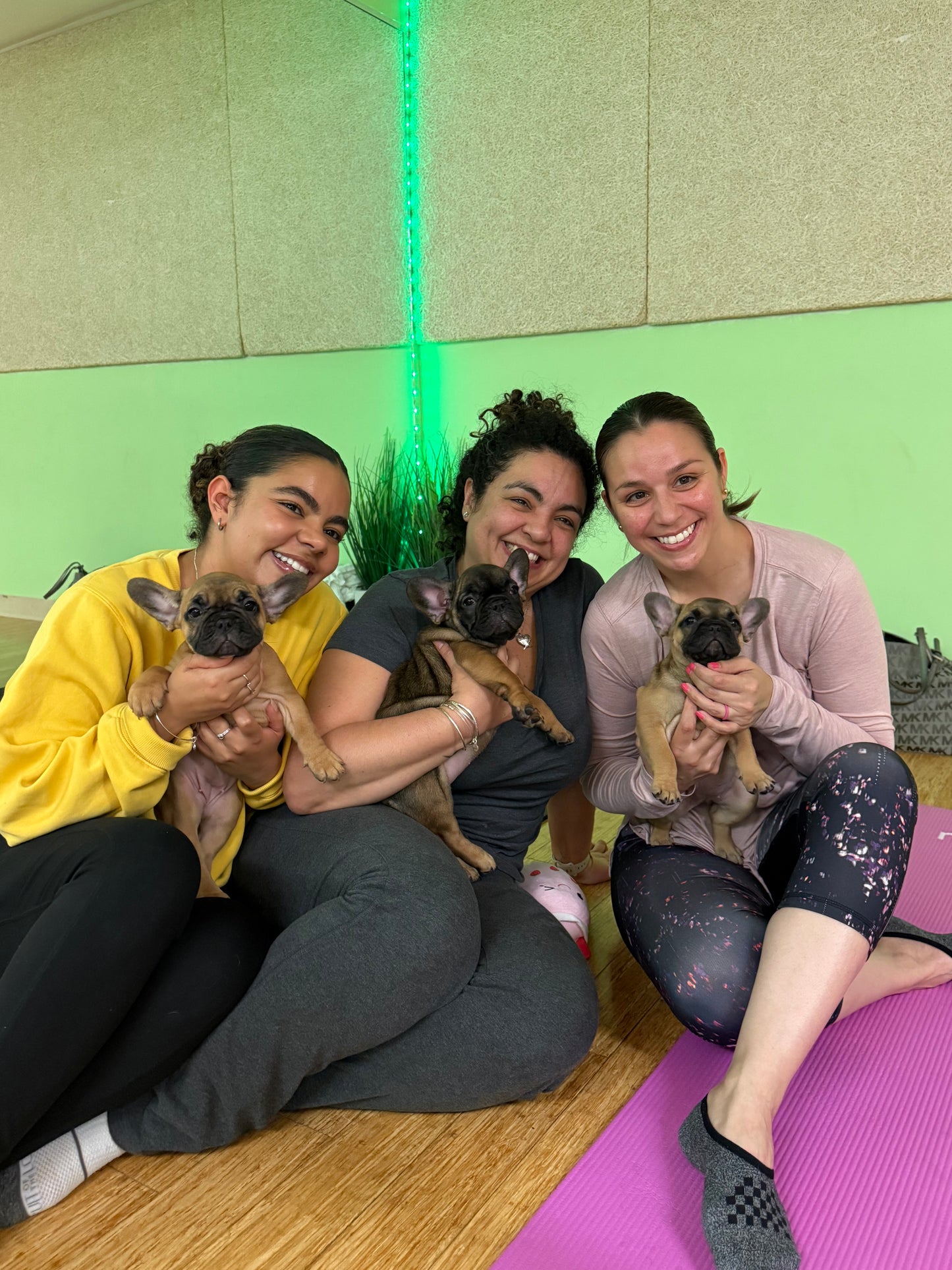 Frenchie Puppy Yoga