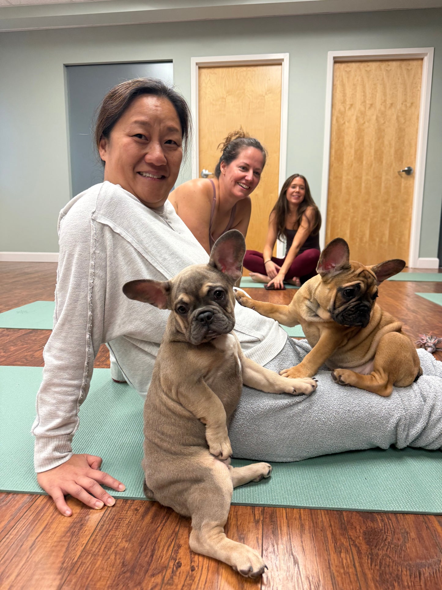 Frenchie Puppy Yoga