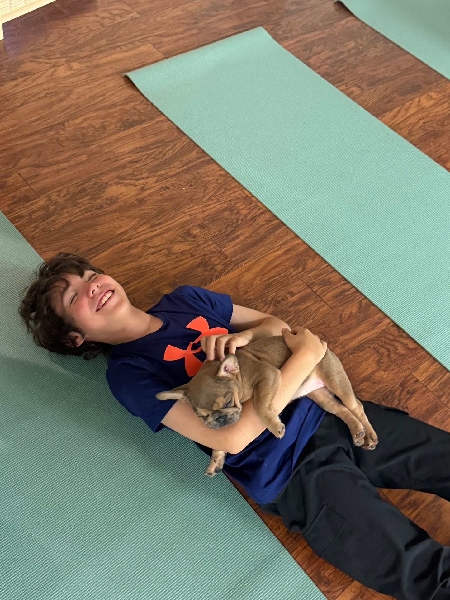 Frenchie Puppy Yoga