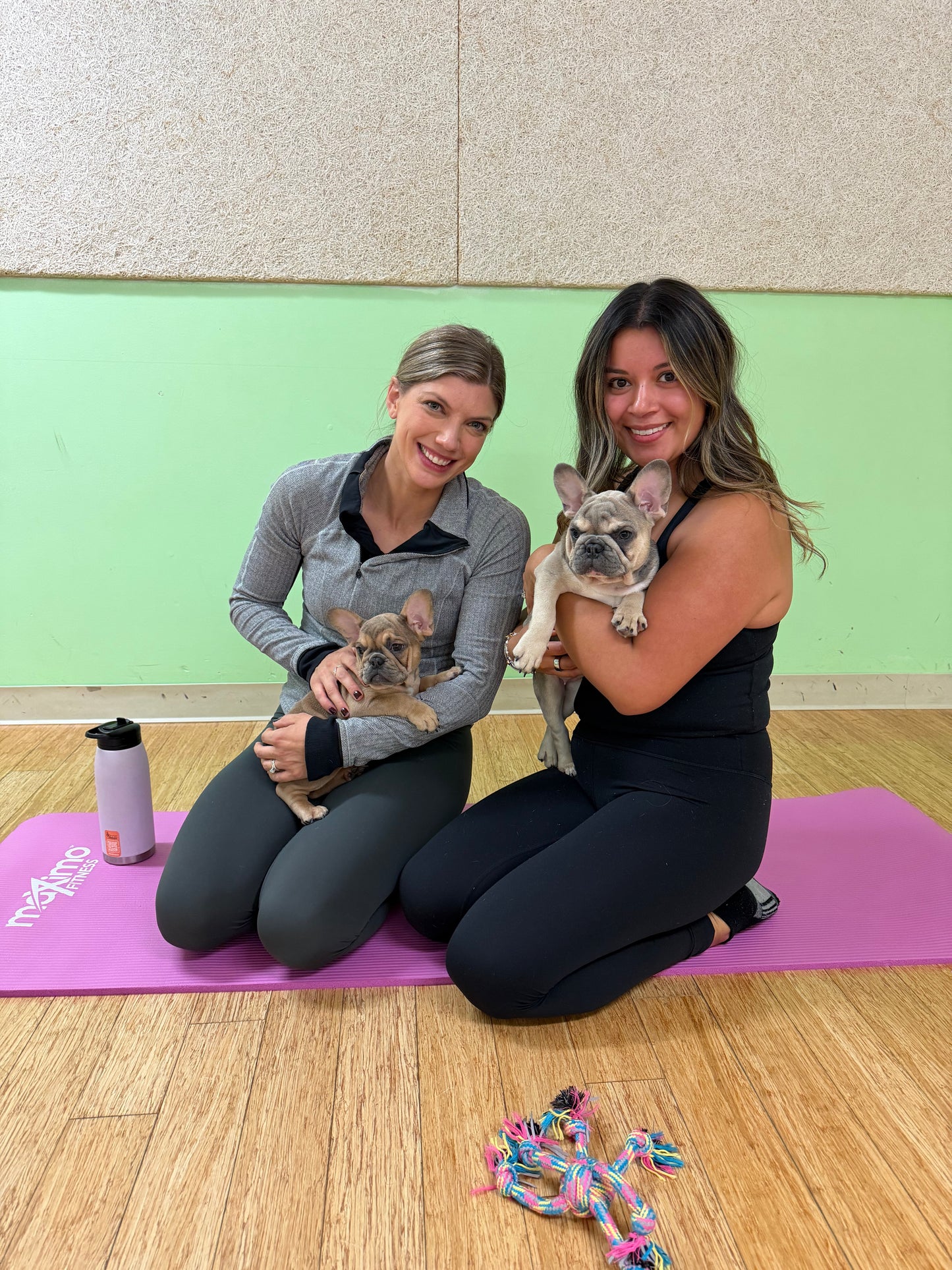 Frenchie Puppy Yoga