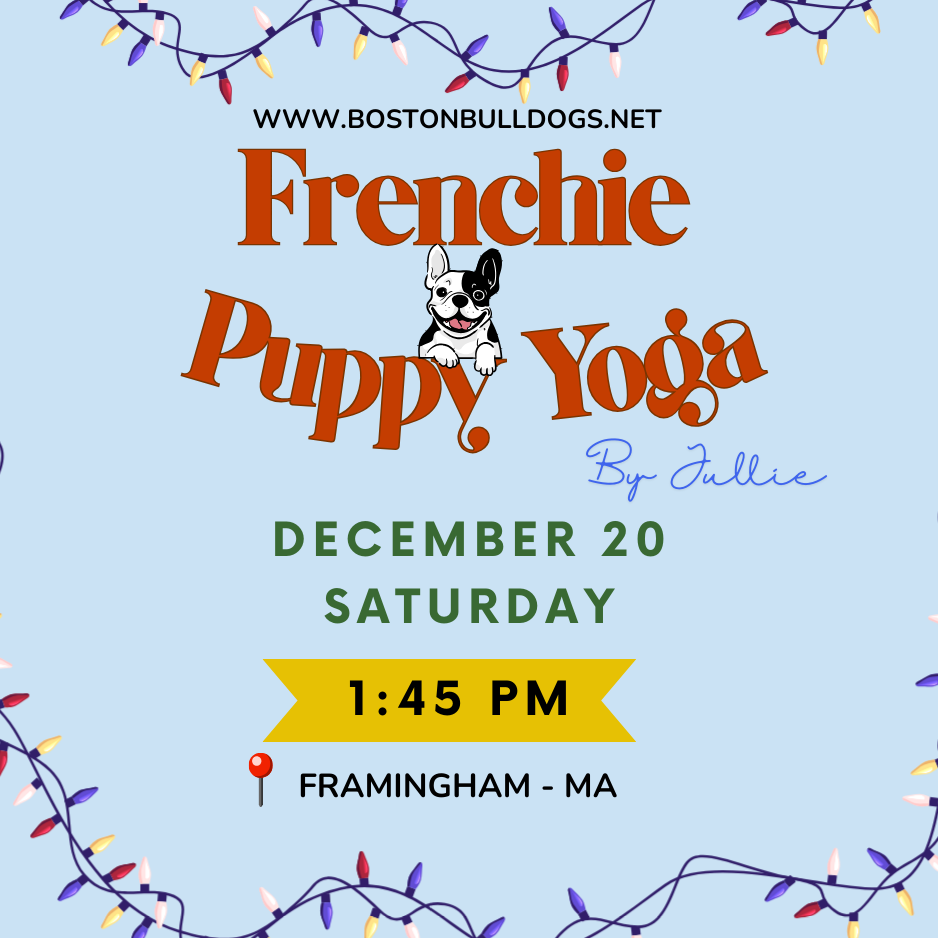 Frenchie Puppy Yoga