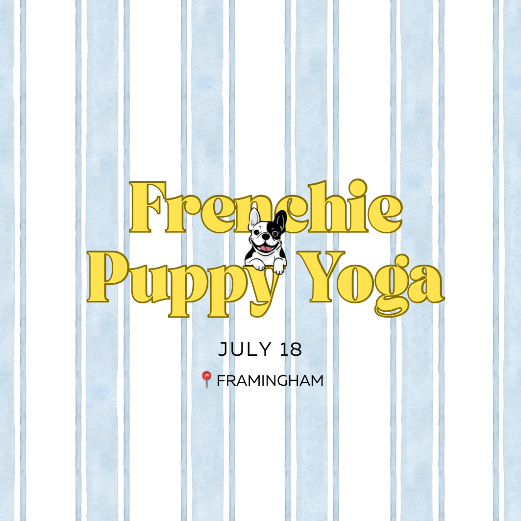 Frenchie Puppy Yoga