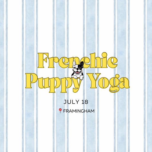 Frenchie Puppy Yoga